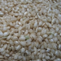 Rýže Calasparra celozrnná bio 1kg