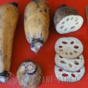 Kořen Lotosový čerstvý