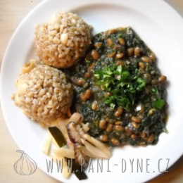 Natto v kopřivách