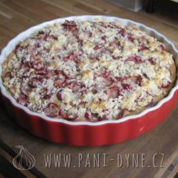 Ovocný  táč